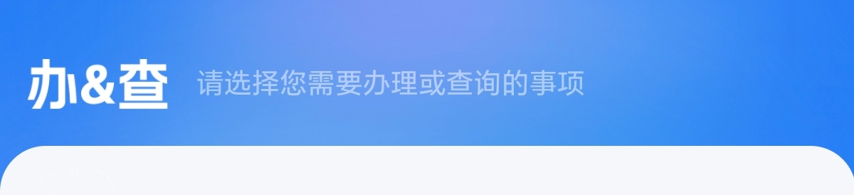 办&查